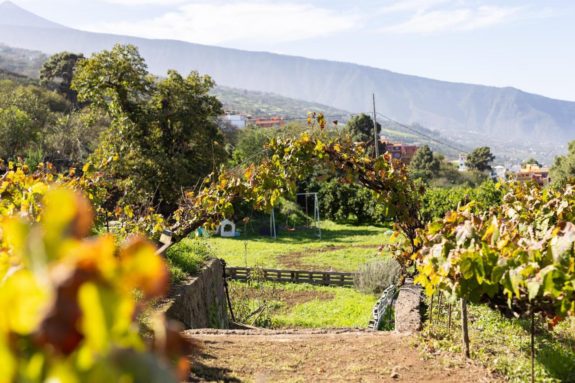 Ek Drago Finca El Milagro ラ・オロタバ エクステリア 写真