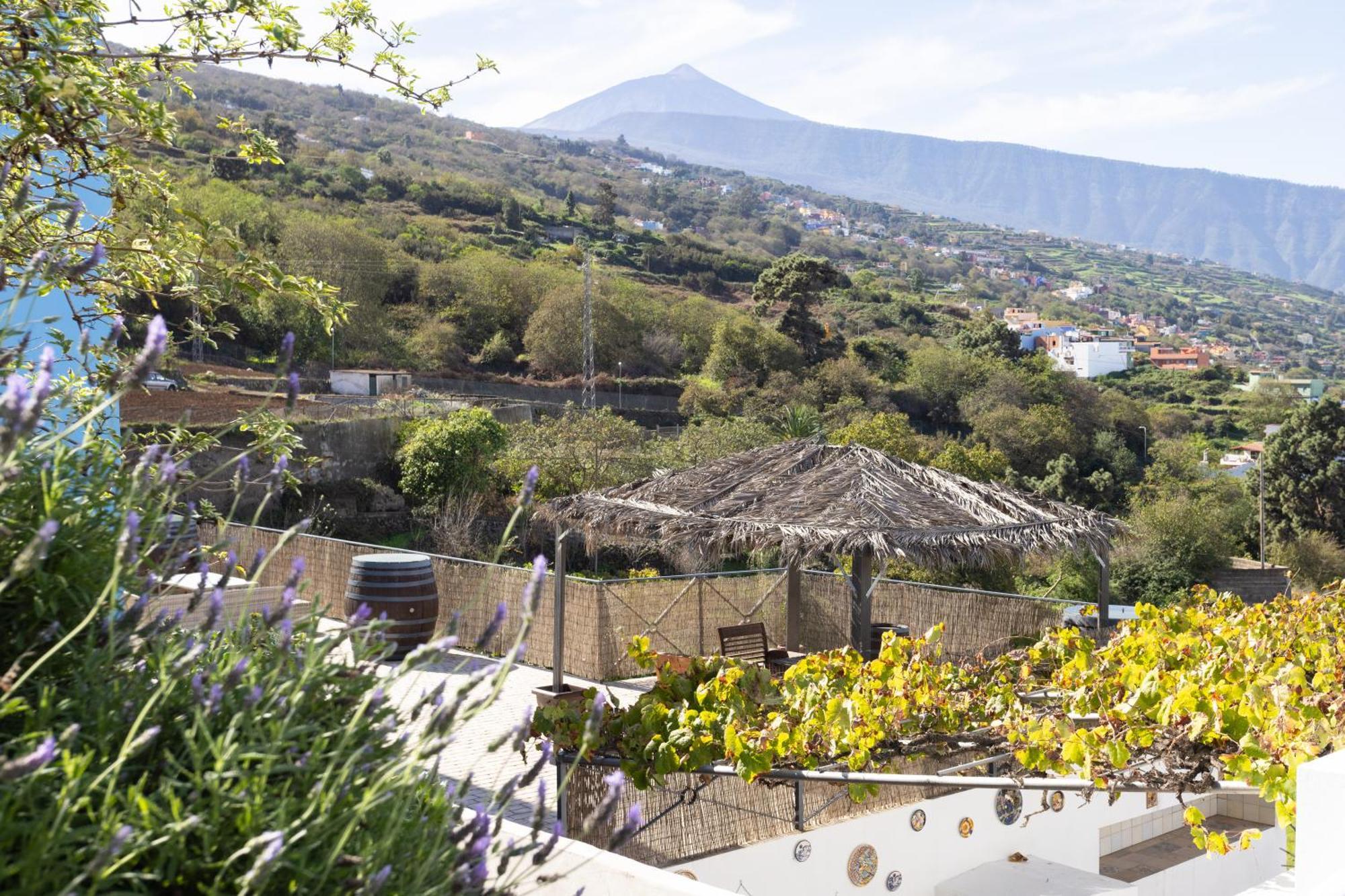 Ek Drago Finca El Milagro ラ・オロタバ エクステリア 写真