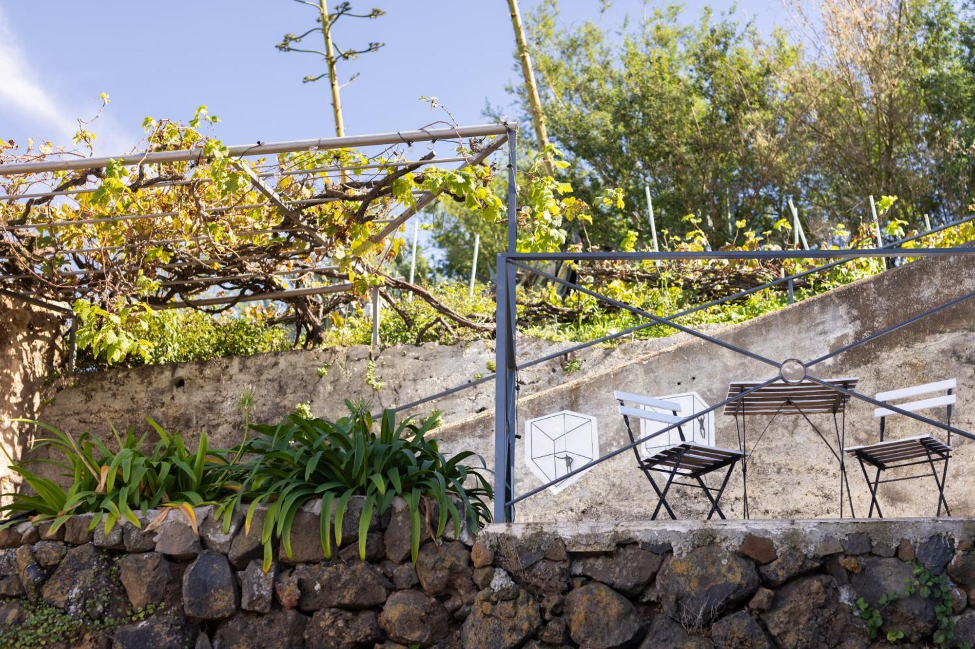 Ek Drago Finca El Milagro ラ・オロタバ エクステリア 写真